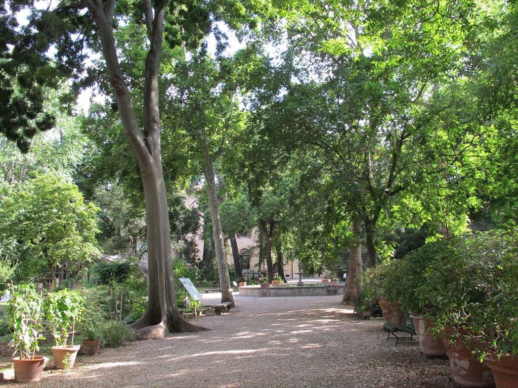 Il Giardino dei semplici a Firenze, uno dei tanti giardini della città